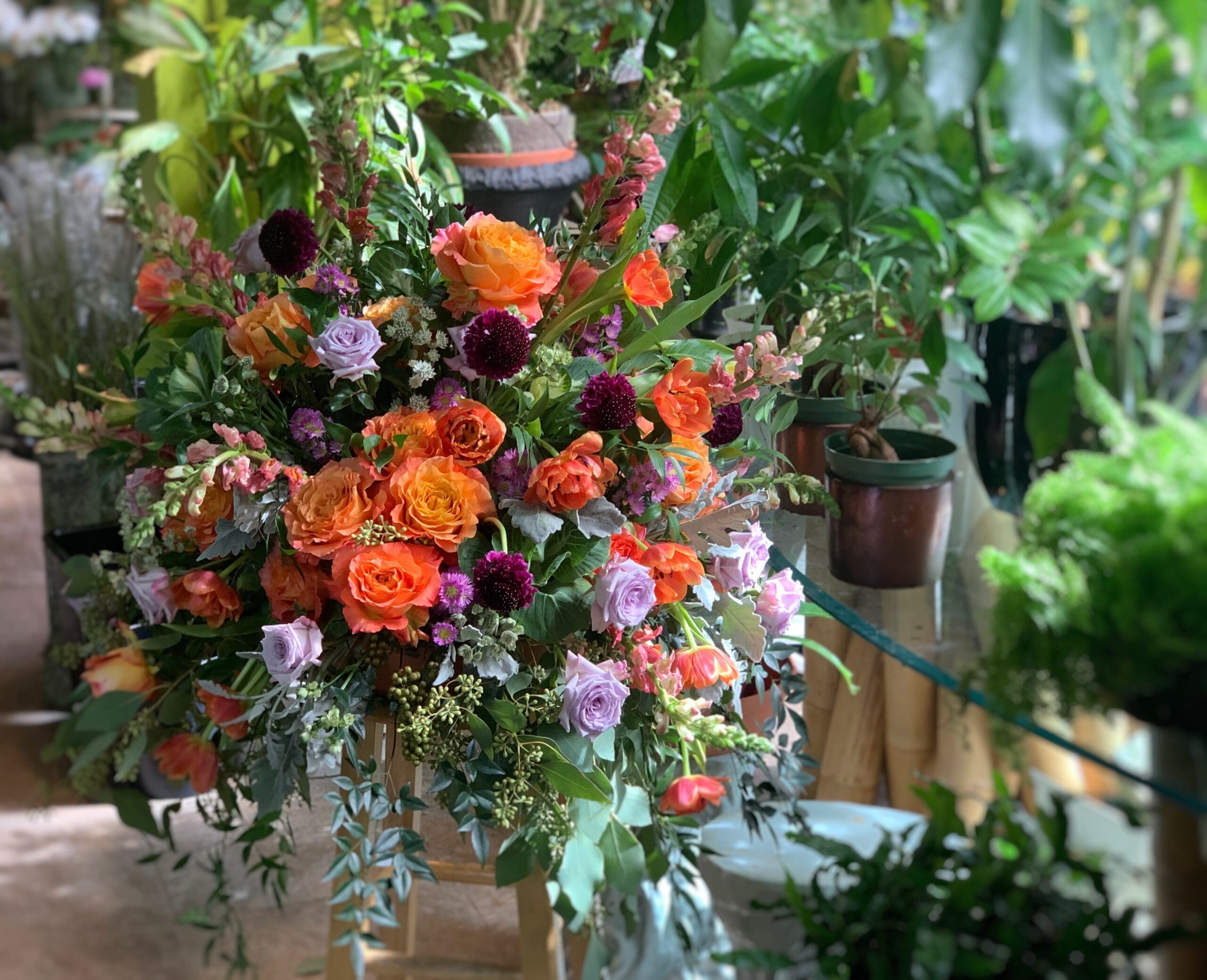 Bold floral arrangement with orange, burgundy, and lavender flowers in a terra cotta pot surrounded by greenery