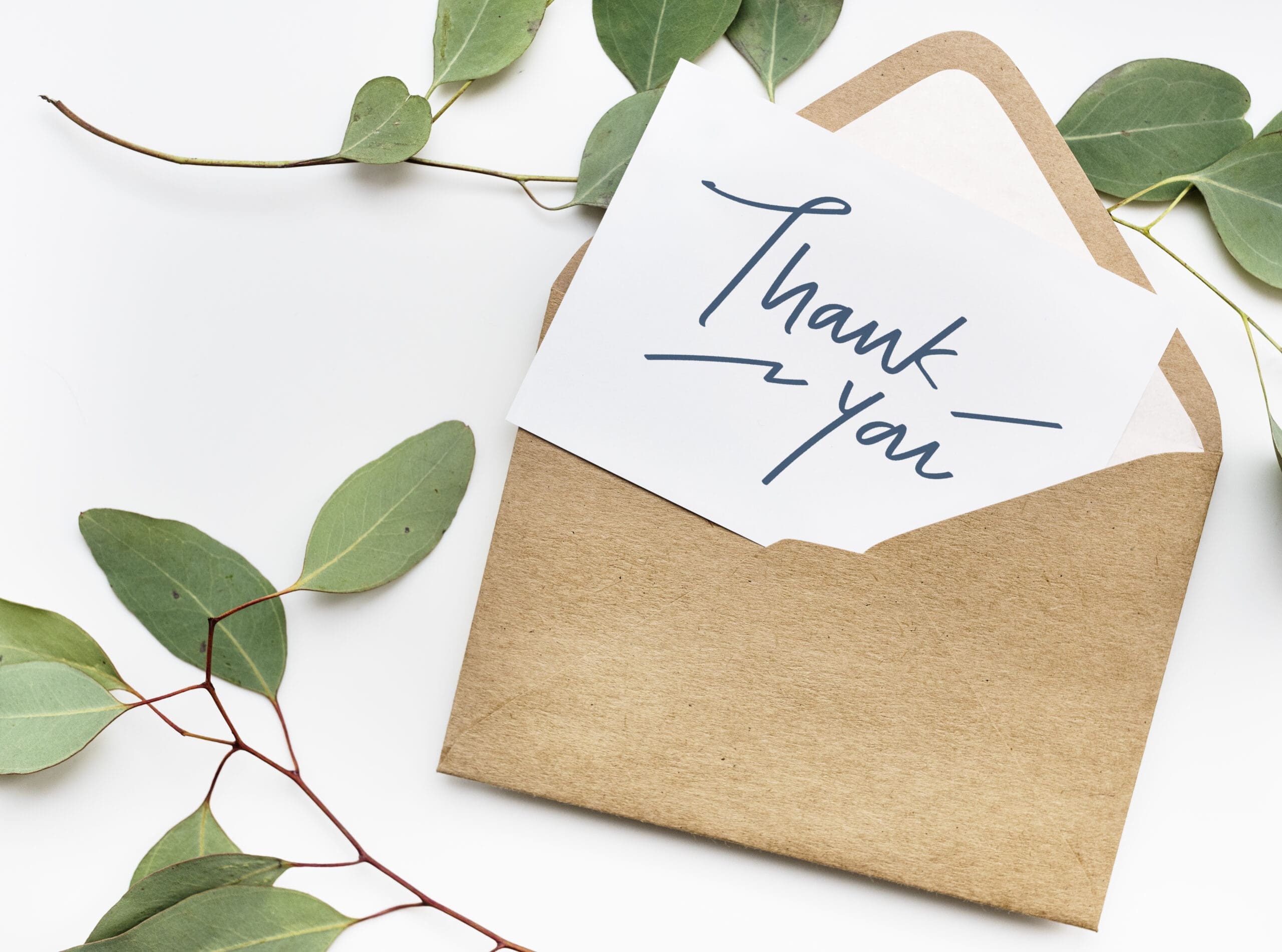 Thank you card and envelope with greenery symbolizing appreciation for wedding vendors